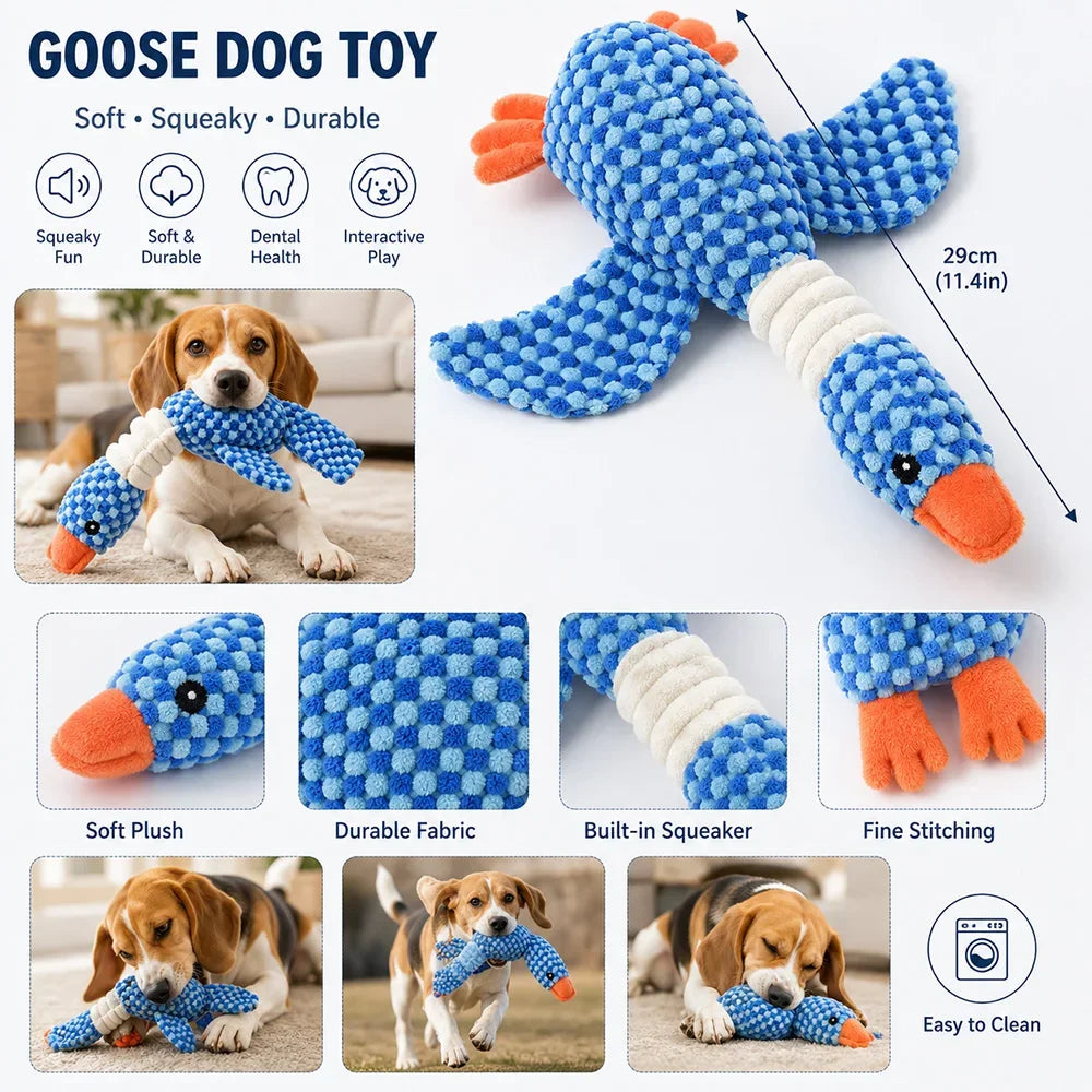 Squeaky Teddy Pet Toy
