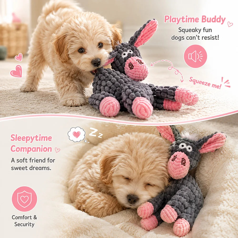 Squeaky Teddy Pet Toy