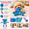 Squeaky Teddy Pet Toy