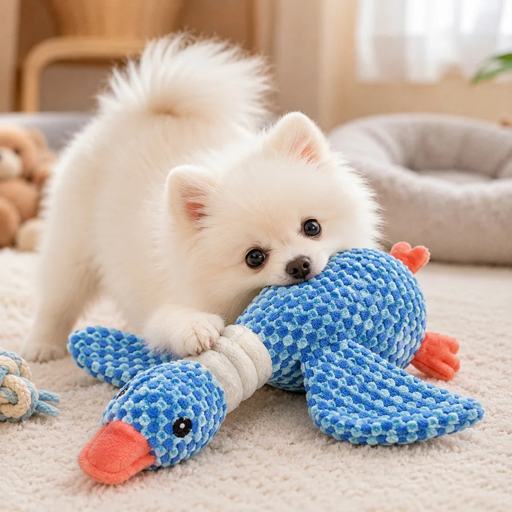 Squeaky Teddy Pet Toy