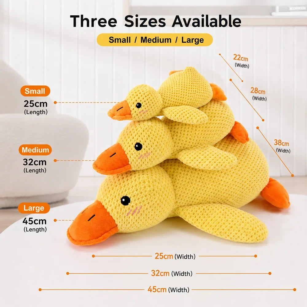 Squeaky Teddy Pet Toy